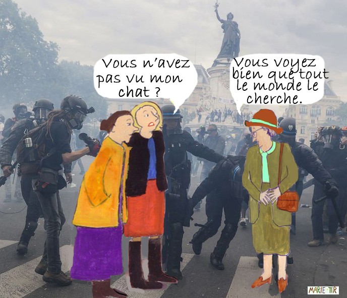 Chat
